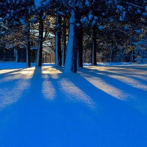 Meet your Posher, Carol